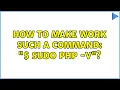 Ubuntu How to make work such a command sudo php - v