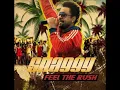 Feel the rush ~ Shaggy [Lyrics]