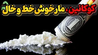 کوکائین  مخدری که به شکل دوست ظاهر شده اما به جهنم ختم میشود دندنها