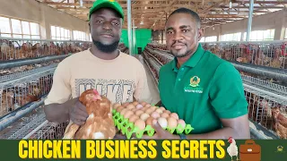 How This Farmer Makes Money On Eggs Daily
