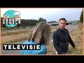 Lagu Maai bermen niet tegelijk en niet te kort! | TV | Vroege Vogels