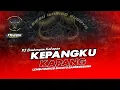 DJ BANTENGAN KALAP | KEPANGKU KAPANG | LEMBU WARISO BUDOYO | VIRAL TIKTOK | DHANI SQUAREPANT