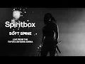Spiritbox - Soft Spine - Live From Toyota Ontario Arena