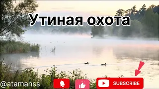 Песня Утиная охота 