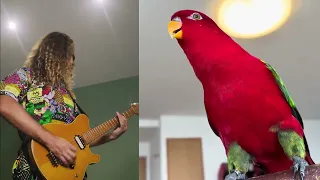 The weirdest song I ever made