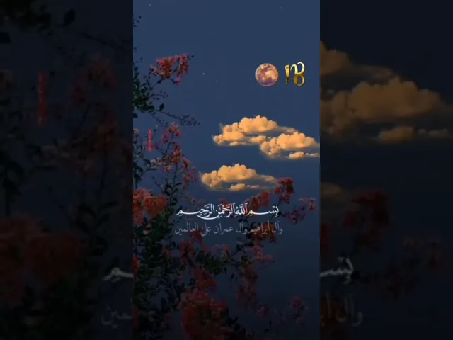 ⁣ستوريات قرآنية القارئ حيدر محسن البزوني