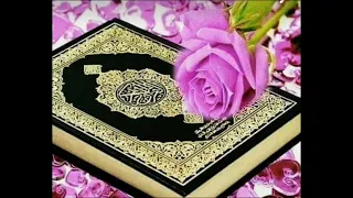 من سورة نوح مقام نهاوند وكرد عبدالرحمن العقيلي 