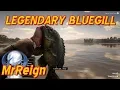 Red Dead Redemption 2 - Hunting The Legendary BlueGill