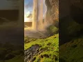 Download Lagu Watch till end 😱instagram real#shorts#nature lovers✌like and subscribe my channal😉😉