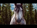 Why DougDoug can t stop drinking horse electrolytes