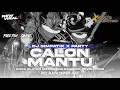Download Lagu [FREE FLM + SAMPLE] DJ CALON MANTU IDAMAN STYLE SIMPATIK X KARNAVAL || VIRAL TIKTOK