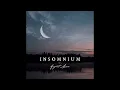 The Wanderer - Insomnium (Türkçe Çeviri)
