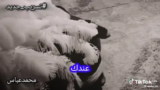 فضيحه بلوجر هدير عبد الرازق 