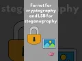 Download Lagu Kayla’s Project: Encryption + Steganography in One Smart GUI 🔐🖼️💻✨