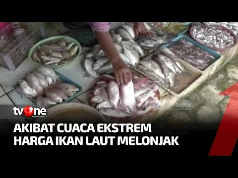 Harga Ikan laut Mengalami Lonjakan Imbas Cuaca Ekstrem yang Melanda