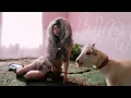 Download Lagu DAY 許軼《hold on》Official Music Video