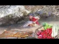 Download Lagu Amazing catch a big catfish for food of survival - Big fish grilled spicy chili for dinner