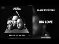 Download Lagu The Black Eyed Peas - BIG LOVE (432Hz)