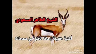 الشيخ الطاهر المسعودي ـ أغنية خفيفة ـ سبحانك ياربي العالي ماذا تخلق من سمحات ربي يهدي 