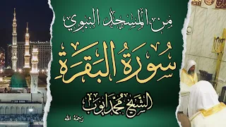 سورة البقرة كاملة من المسجد النبوي بصوت الشيخ محمد أيوب مع التفسير الموضوعي 