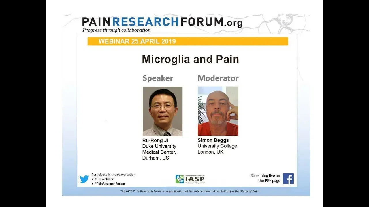 PRF Webinar on Microglia and Pain