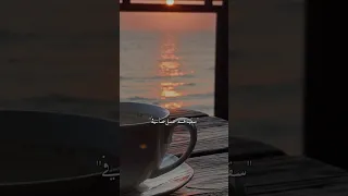  ياقلبي دول باعونا  ترند تيك توك  اكسبلور  ستوريهات دندنها