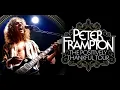 Download Lagu Peter Frampton - Full Concert - 4K - HD Audio - Live - September 13, 2024