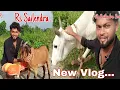 Lagu Vlog Video 11 !!  আজকে আমি গরু বাগাল !! At My Village !! RsSailendra