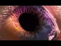 Arcade Fire - Unconditional II (Race and Religion) (Official Audio) ft. Peter Gabriel
