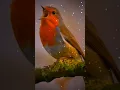 Download Lagu Bird Bgm Ringtones, Bird chirping, Instrumental ringtone, Bird Sound ringtones
