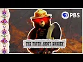 The Inconvenient Truth of Smokey Bear
