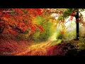 Download Lagu NEW 8 HORAS MUSICA ENYA DORMIR,RELAX,REDUCIR ESTRÉS/8 HOURS MUSIC SLEEP,RELAX,REDUCE STRESS (VOL.2)