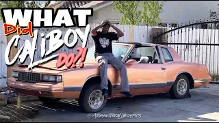 What has CALIBOY done