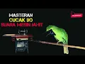 Download Lagu MASTERAN CUCAK IJO SUARA MESIN JAHIT