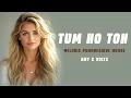 Download Lagu Tum Ho Toh Ft. Vishal Mishra | Saiyaara | AMY x VØLTX Remix | Melodic  Progressive | Ahaan, Aneet