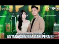 Download Lagu ANTARA SENYUM DAN PERANG - LAILA AYU FT IRWAN KRISDIYANTO - SIMPATIK MUSIC