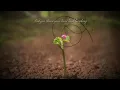 Taylor Swift - Begin Again (Taylor's Version) (Lyric Video)
