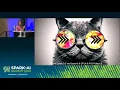 Accelerating Tensorflow with Apache Arrow on Spark Holden Karau