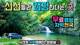 인제 동아실계곡 🚩공지 2025년 물놀이 피크닉 가능, 취사 야영 금지에요. 천하절경 청정 계곡 신선마을 이색적인 캠핑노지, 국내여행지, 차박노지 탐방, 인제 동아실계곡. 썸네일
