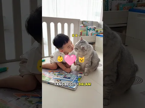setelah tumbuh besar ia membalas kasih sayang kepada kucingnya #kucinglucu #kucingmilo