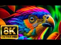 Download Lagu Wild Birds - 8k (60fps) Ultra HD - met natuurgeluiden (kleurrijk dynamisch)