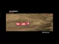 MX Vs ATV Unleashed | Crossfade - Cold (With Gameplay)