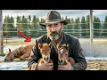Download Lagu Broke Rancher Saves Two Dying Foals After Their Mother Died  - What Happened Next Was Incredible