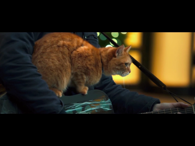 A Street Cat Named Bob - Silent Night Clip - At Cinemas Now