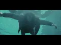 SiR - The Canvas