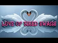 Download Lagu Dimash- El amor de los cisnes cansados - Subtítulos en Español