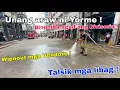 Download Lagu Unang araw ni Yorme nilinis agad ang Divisoria Manila ! Talsik mga Libag ! JUNE 30 2025
