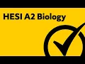 HESI Study Guide - Admission Assessment Exam Review