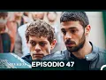 Download Lagu Selvagem 47. Episódio (Dublagem em Português)