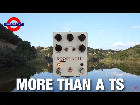 Vintage Guitar Nerds Boostache | Delicious Audio